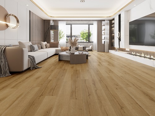  New Album of Floor Decor 3/107 Harris Road - Photo 3 of 3