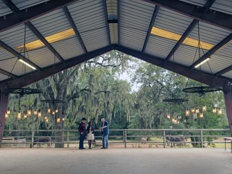  Profile Photos of BlissWood Weddings 13597 Frantz Rd, Suite W - Photo 3 of 3