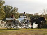 BlissWood Weddings, Cat Spring