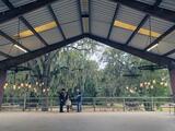 BlissWood Weddings, Cat Spring