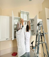 Silicon Peach Termite Removal Experts, Atlanta
