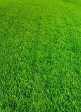  Artificial Grass & Sports Courts 3667 Omec Park Drive 