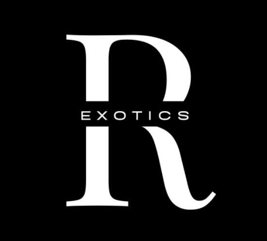  Roma Exotics - Luxury Car Rentals of Roma Exotics - Luxury Car Rentals 6050 N Central Expy - Photo 1 of 2