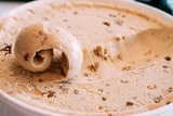 Chill Bros Scoop Shop, Tampa