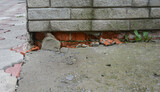  The City With Soul Foundation Repair Co 1501 Lakeland D 