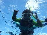  Boss Frog's Snorkel, Bike & Beach Rentals 75-5725 Aliâ€˜i Dr 