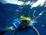  Boss Frog's Snorkel, Bike & Beach Rentals 75-5725 Aliâ€˜i Dr 