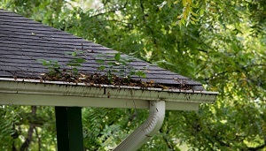  Profile Photos of High Tech Gutters Experts 84 West Santa Clara St - Photo 4 of 4