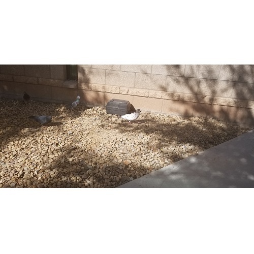  Profile Photos of College of Southern Nevada 3200 East Cheyenne Avenue - Photo 4 of 4
