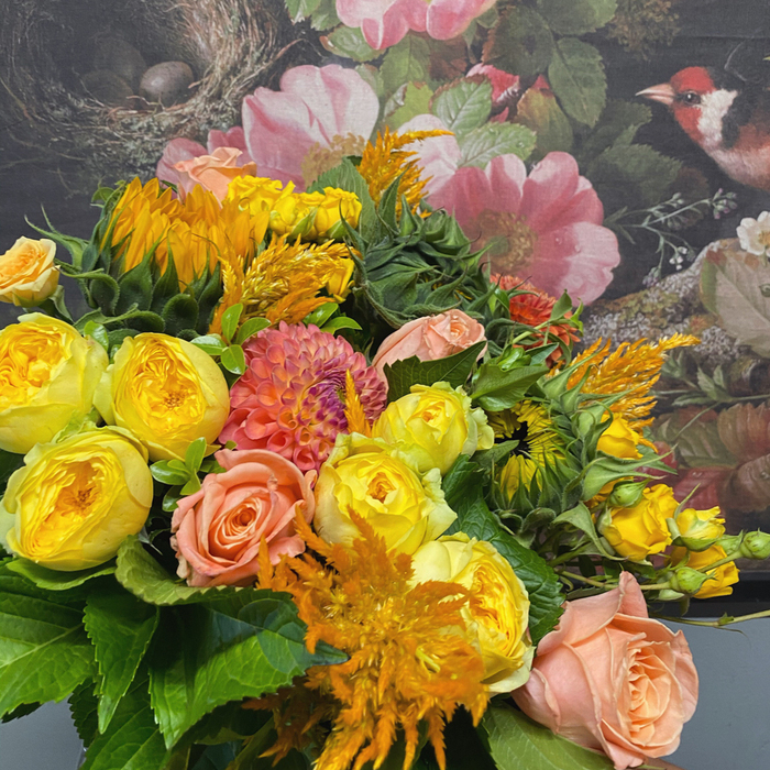  Profile Photos of The Wild Bunch 419 Remuera Rd - Photo 6 of 6