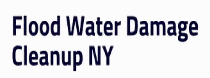  Profile Photos of Water Cleanup Long Island 350 Sunrise Hwy #111c, - Photo 1 of 1