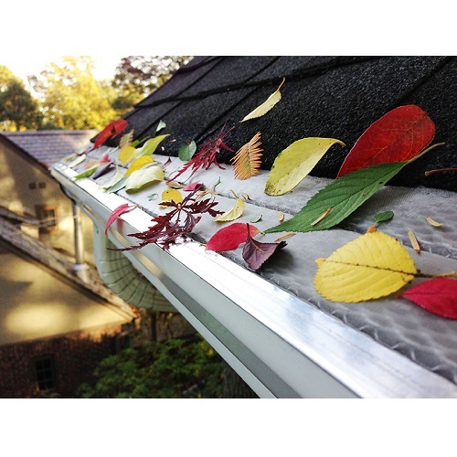  Profile Photos of LeafCo Gutters LTD 1112 Waukegan Road, Suite A - Photo 2 of 4