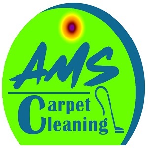  Profile Photos of Daveâ€™s Carpet Care 751 Whitfords Ave - Photo 1 of 1