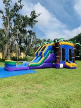 Bouncy Kangaroo Party Rental, Orlando