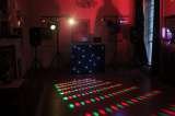  Cougar Disco 26 wendiver way 