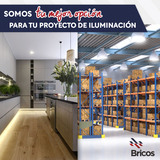  Bricos Av. Francisco I. Madero 2450 Mitras Sur 