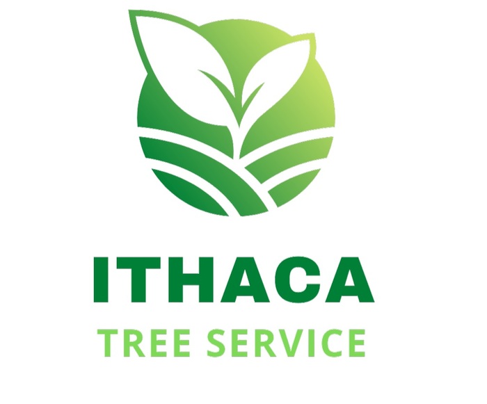  Profile Photos of Ithaca Tree Service 423 N Geneva St - Photo 2 of 2