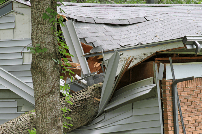  New Album of Ithaca Tree Service 423 N Geneva St - Photo 15 of 18