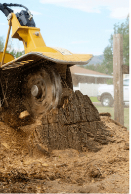  New Album of Ithaca Tree Service 423 N Geneva St - Photo 13 of 18
