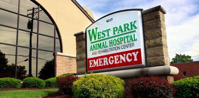  New Album of West Park Animal Hospital 4117 Rocky River Drive - Photo 1 of 10