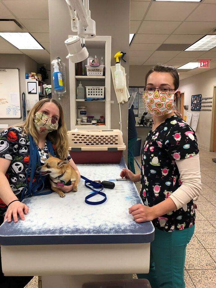  New Album of West Park Animal Hospital 4117 Rocky River Drive - Photo 7 of 10
