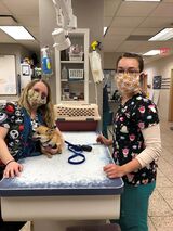 West Park Animal Hospital, Cleveland
