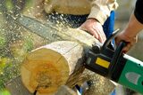 Augusta Tree Pros, Augusta