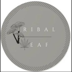  Profile Photos of Tribal Leaf 1001 4th St SW - Photo 1 of 1