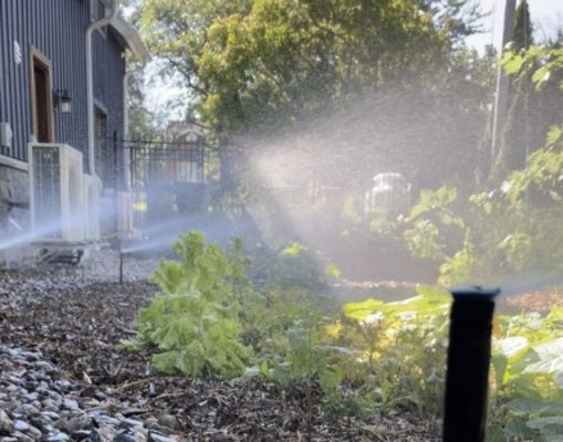  New Album of SAS Irrigation Rive Sud 617 Boulevard de Palerme - Photo 1 of 2
