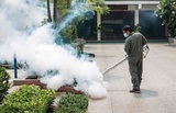 Fort Bend Pest Control Experts, Meadows Place