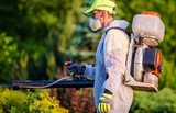 Fort Bend Pest Control Experts, Meadows Place