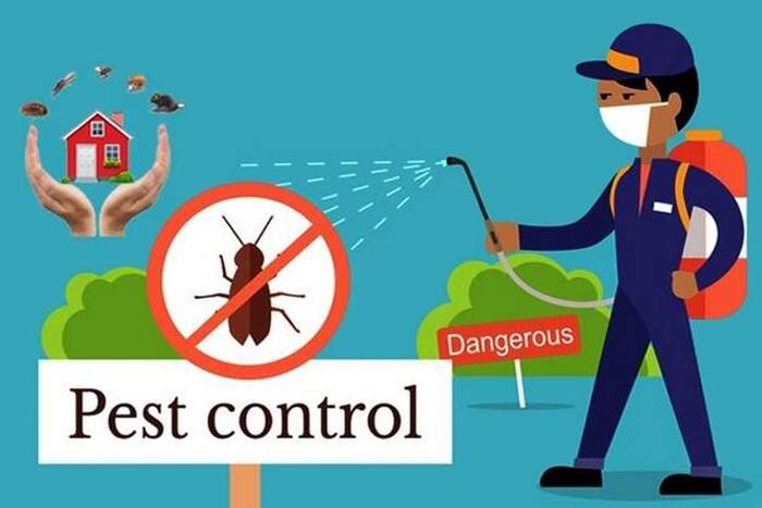  Profile Photos of 24/7 Local Pest Control 1200 Brickell Avenue Suite 1950 - Photo 1 of 1