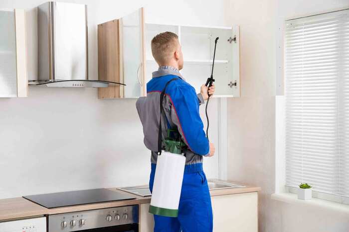 New Album of 24/7 Local Pest Control 1200 Brickell Avenue Suite 1950 - Photo 1 of 4