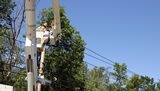 Sun City Tree Service, El Paso
