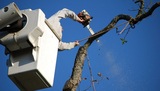 Seven Hills Tree Service, Lynchburg
