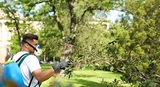 Great Water Tree Service, Minnetonka