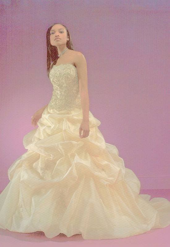  Profile Photos of The Bridal Connection 205 Grant Blvd. / Hours by Appt. Only - Photo 1 of 12