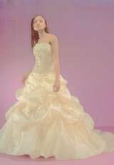  The Bridal Connection 205 Grant Blvd. / Hours by Appt. Only 