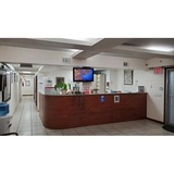 Professional Gynecological Services, Brooklyn