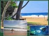  Tour East Lanka Ltd 24 1/1, Flower Road 