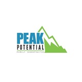 Peak Potential Family Chiropractic, Houston