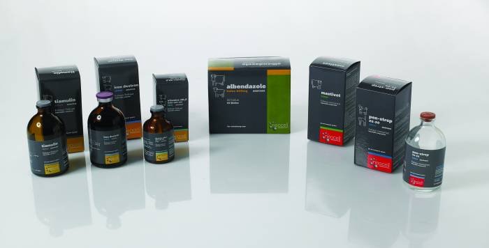  Profile Photos of busyb - a branding, naming and design company 38, AIOLEON STR. - Photo 11 of 11