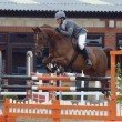 Ellbridge Livery Yard & Beckers Equestrian, Bradford on Avon