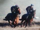  Ellbridge Livery Yard & Beckers Equestrian Lower South Wraxall 