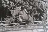 Ellbridge Livery Yard & Beckers Equestrian, Bradford on Avon