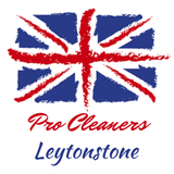 Pro Cleaners Leytonstone, Pro Cleaners Leytonstone, Leytonstone