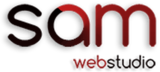 Website Designing Development Company, New Delhi