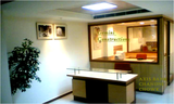 Gemini Constructions, New Delhi