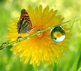 True Nature Holistics, Delray Beach