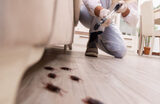  Brown Reclusinator Pest Control 4516 E Central Ave suite c 